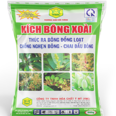 KÍCH BÔNG XOÀI