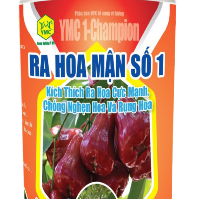RA HOA MẬN SÔ 1