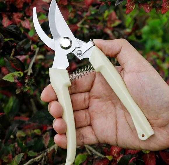 dụng cụ ghép cây