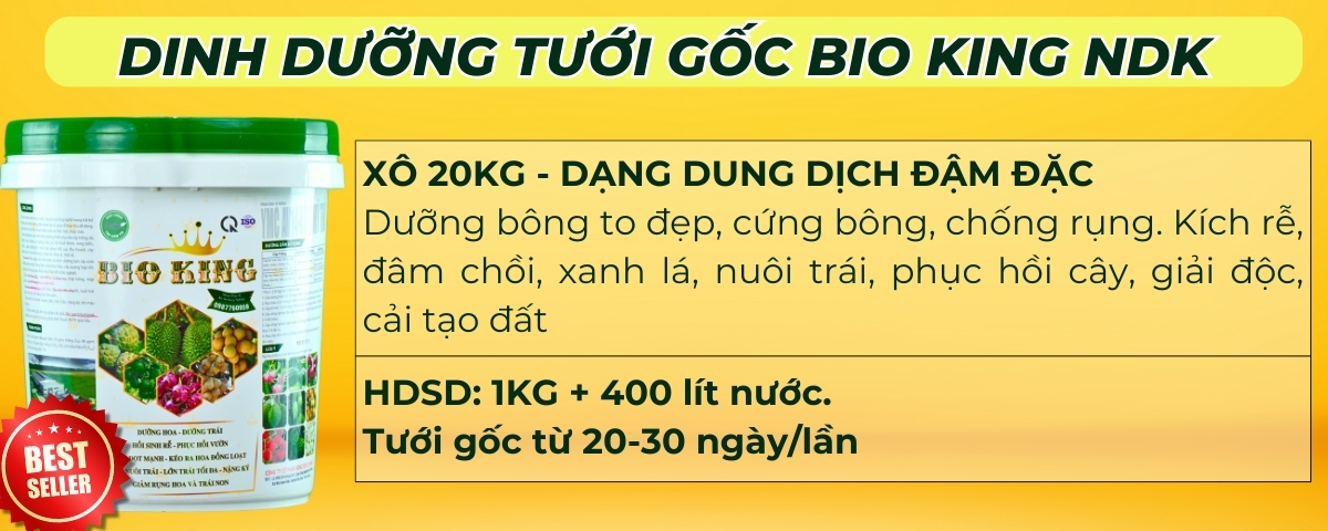 bón gốc chôm chôm