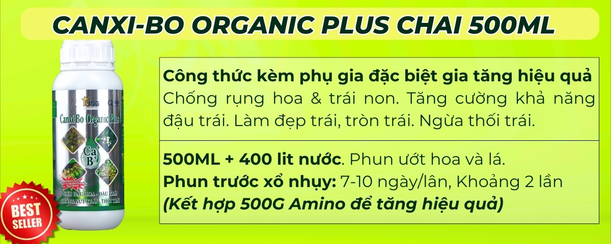 canxi bo